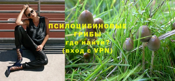 молекула духа Медногорск
