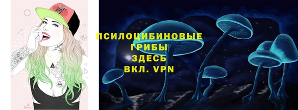 прущая мука Мегион